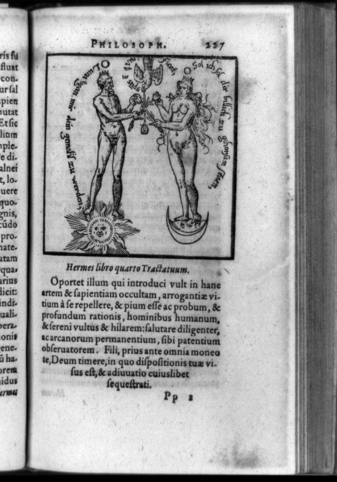 Symbolic picture in alchemical text showing crowned man standing on sun and crowned woman standing on moon joining flowers with descending dove, which represents marriage and the union of LCCN92517537