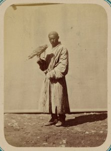 Syr-dar'inskaia oblast'. G. Tashkent i ego ulichnye tipy. Sokol'nichii (kushchi) LCCN2007680541