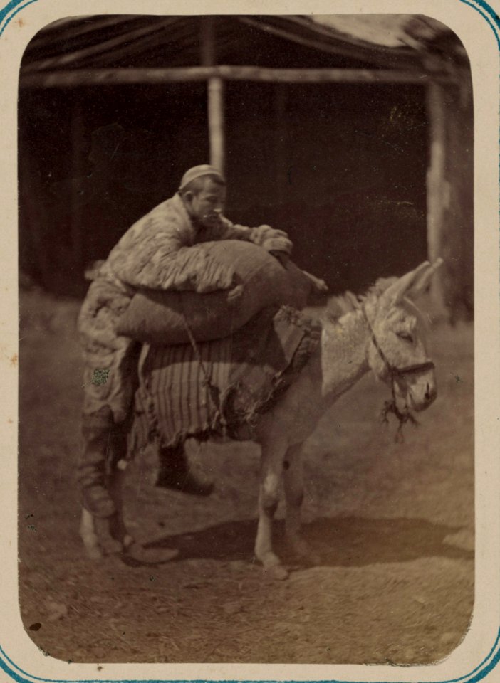 Syr-dar'inskaia oblast'. G. Tashkent i ego ulichnye tipy LCCN2007680545