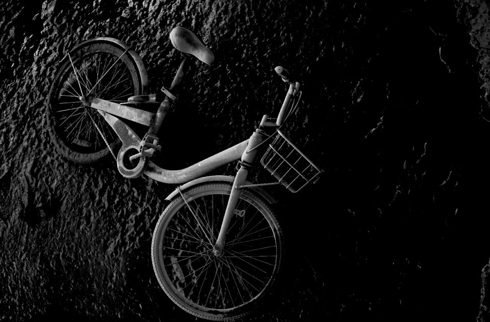 Transport vehicle black and white