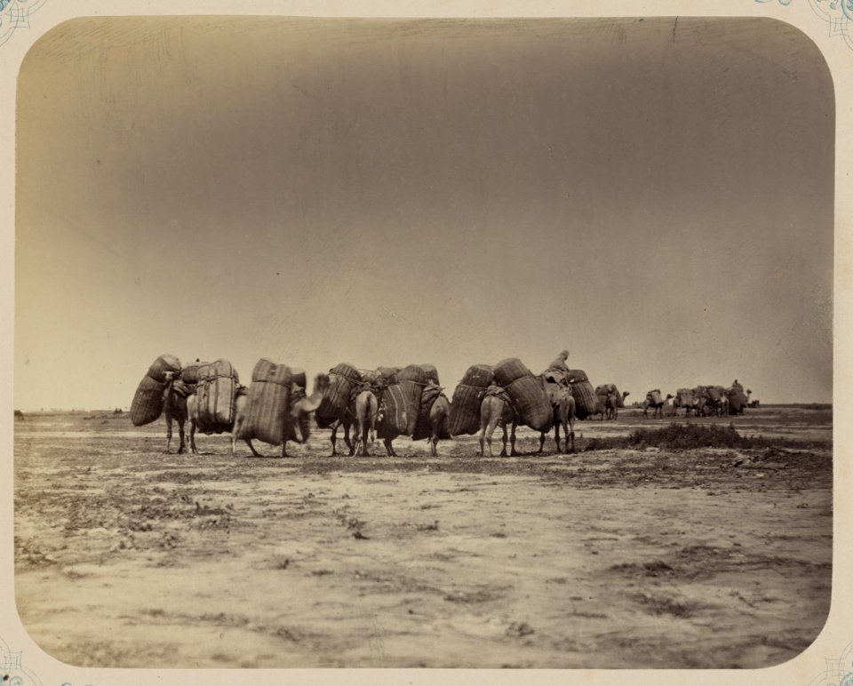 Syr-dar'inskaia oblast'. Karavan LCCN2007682886