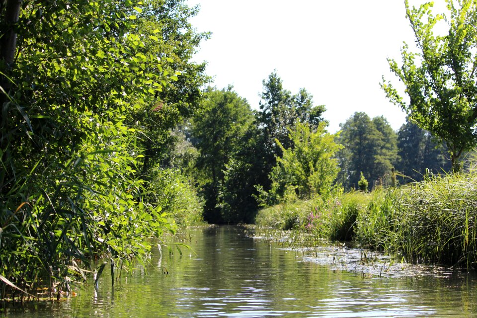 Water spreewald landscape
