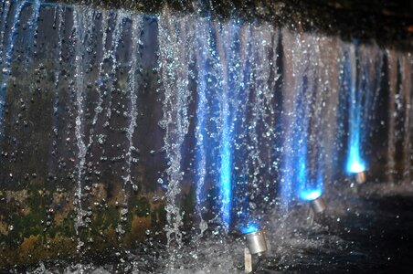 Singapore botanic garden water glitter