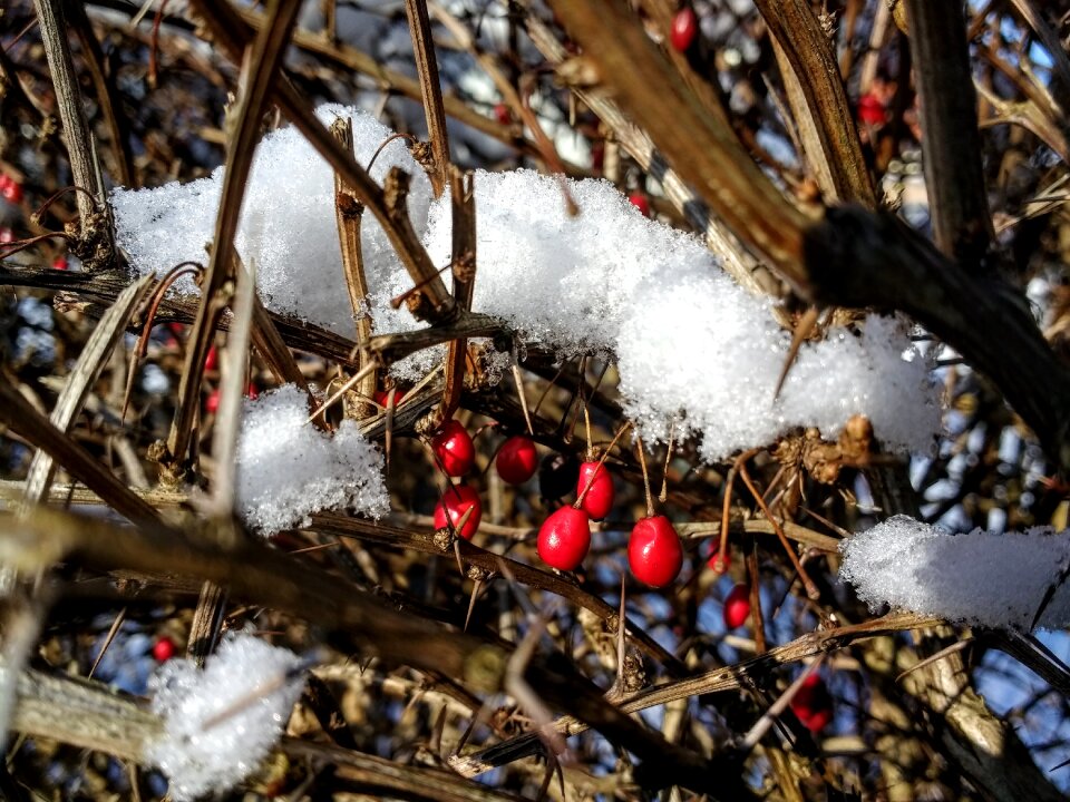 Mood nature cold