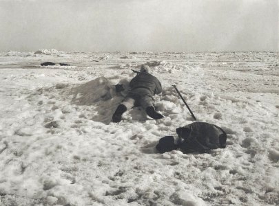 Säljakt, liggande jägare på isen - Nordiska Museet - NMA.0056042 photo