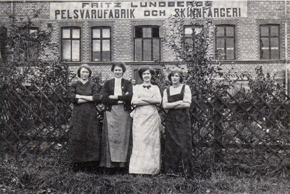 Så blevTranås Pälsstaden (13)