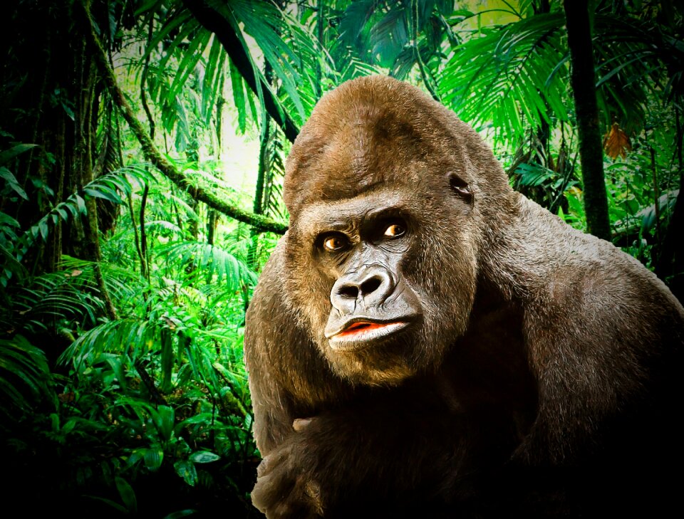 Pride monkey nature