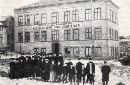 Så blevTranås Pälsstaden (10)