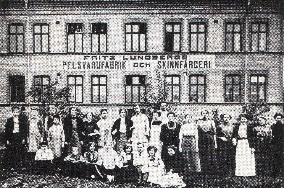 Så blevTranås Pälsstaden (18)