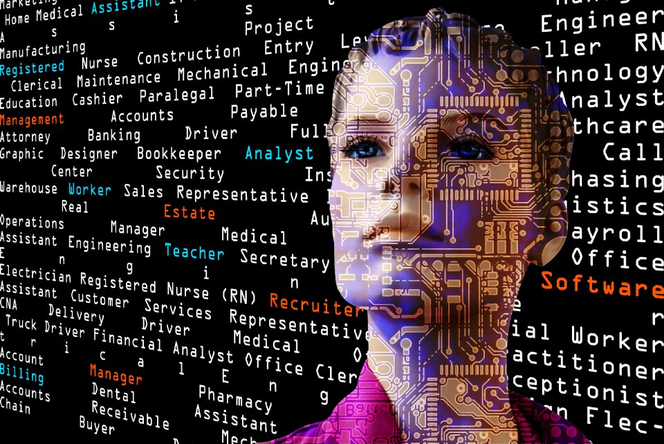 Digitization board network