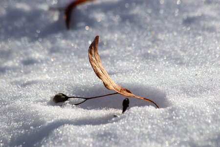 Coldly act nature
