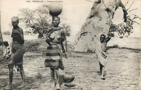 Sénégal-Cérères du Sine (AOF) (2)