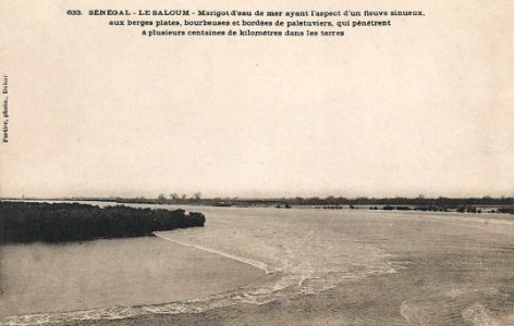 Sénégal-Le Saloum (AOF)