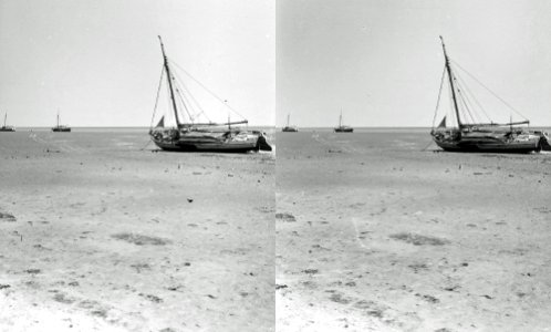 Sønderho, vadehavseverter ved ebbe, 1901-22