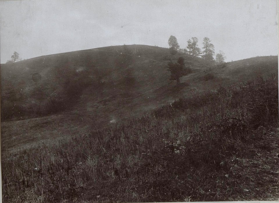 Südhang der Kote 743. Aufgenommen vom Westhang der Kote 694 (BildID 15660401)