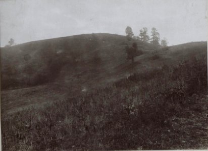 Südhang der Kote 743. Aufgenommen vom Westhang der Kote 694 (BildID 15660401)