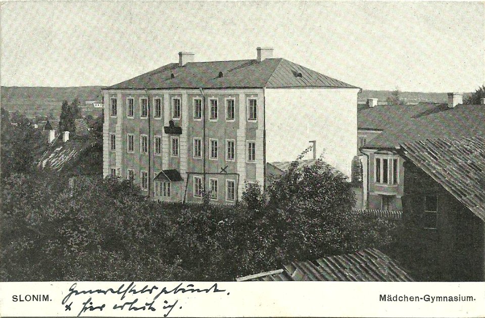 Słonim, Aginski, Aŭsteryja. Слонім, Агінскі, Аўстэрыя (B. Weinstein, 1901-14, 1916) (3)