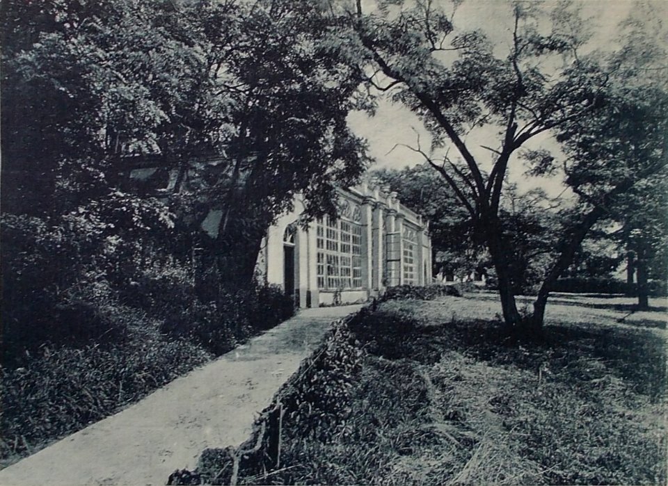 Słonim, Albertyn, Pusłoŭski, Aranžareja. Слонім, Альбэртын, Пуслоўскі, Аранжарэя (1915-18)