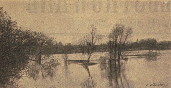 Słucak, Słuč. Слуцак, Случ (E. Navicki, 1909)