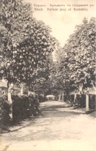 Słucak, Senatarskaja. Слуцак, Сэнатарская (S. Juchnin, 1908) (2)