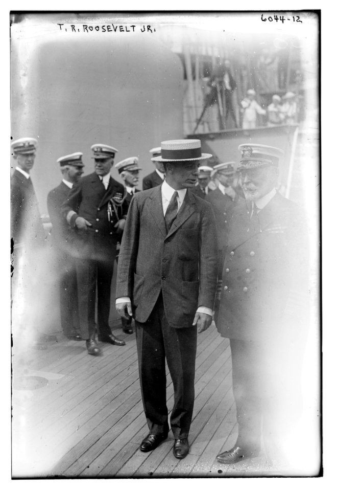 T. (Theodore) Roosevelt Jr. LCCN2014716413