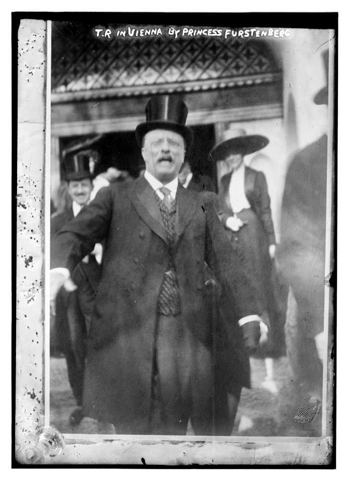 T. Roosevelt in Vienna by Princess Furstenberg LCCN2014688261