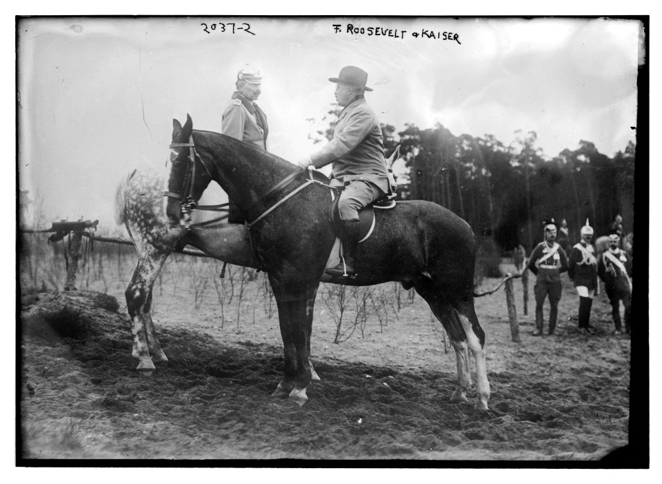 T. Roosevelt and the Kaiser LCCN2014688240