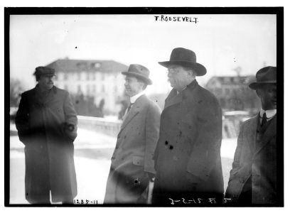T. Roosevelt LCCN2014686683