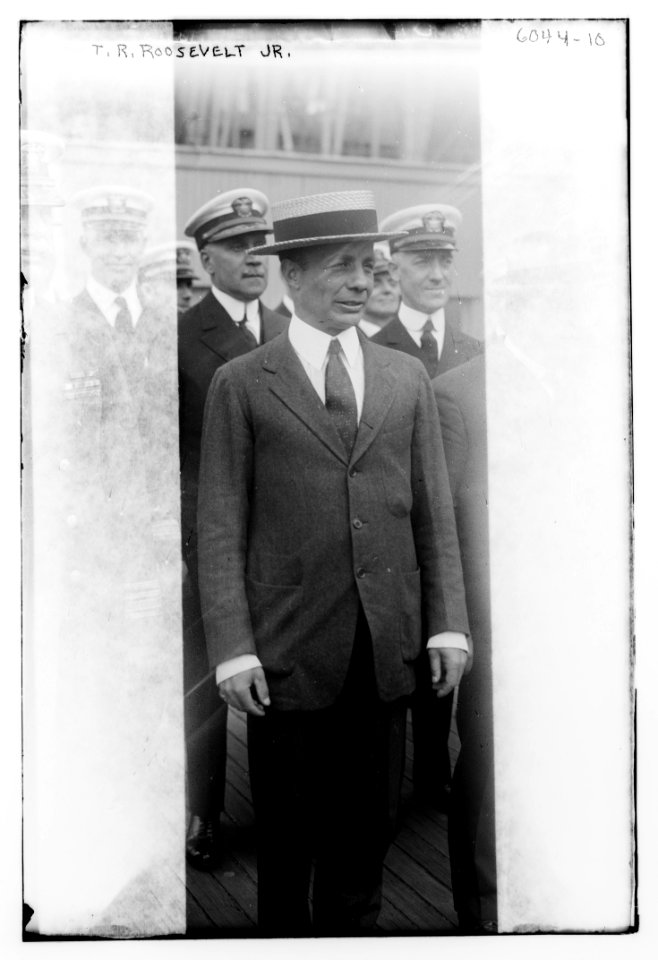 T.(Theodore) Roosevelt Jr. LCCN2014716412