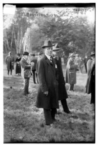 T. Roosevelt Jr. LCCN2014702967