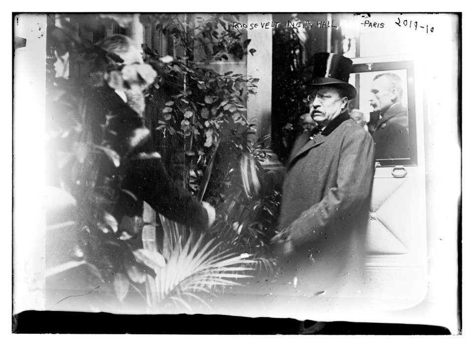 T.R. (Theodore Roosevelt) in City Hall, Paris LCCN2014688044