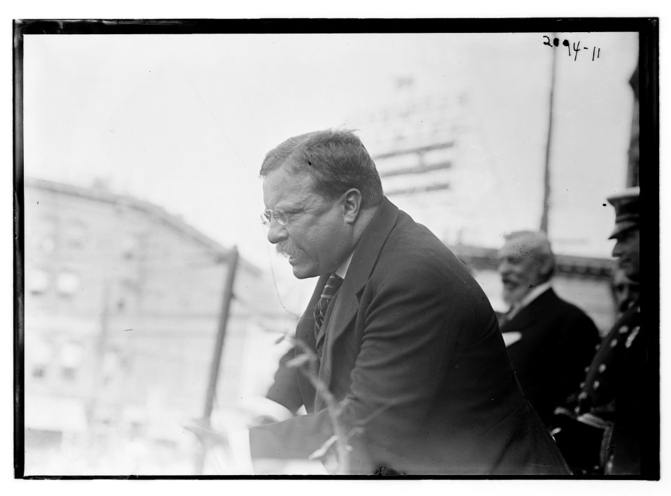T.R. (Theodore Roosevelt) LCCN2014688669