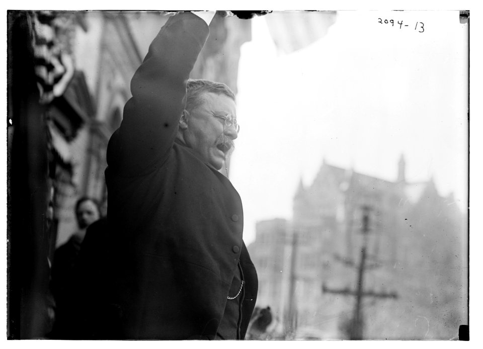 T.R. (Theodore Roosevelt) LCCN2014688670