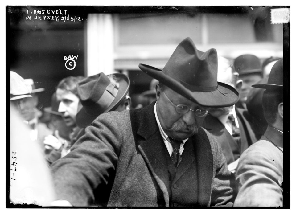 T.R. (Theodore Roosevelt) in Jersey, 5-25-12 LCCN2014692013