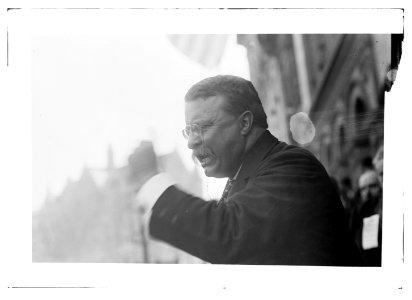 T.R. (Theodore Roosevelt) LCCN2014688672