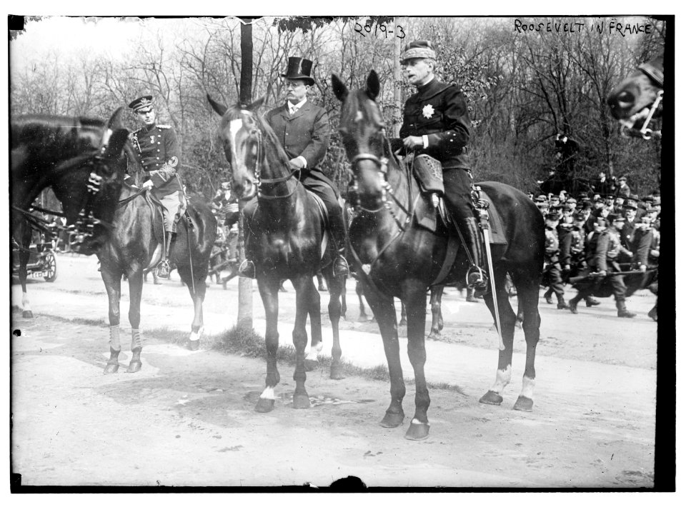 T.R. (Theodore Roosevelt) in France LCCN2014688038