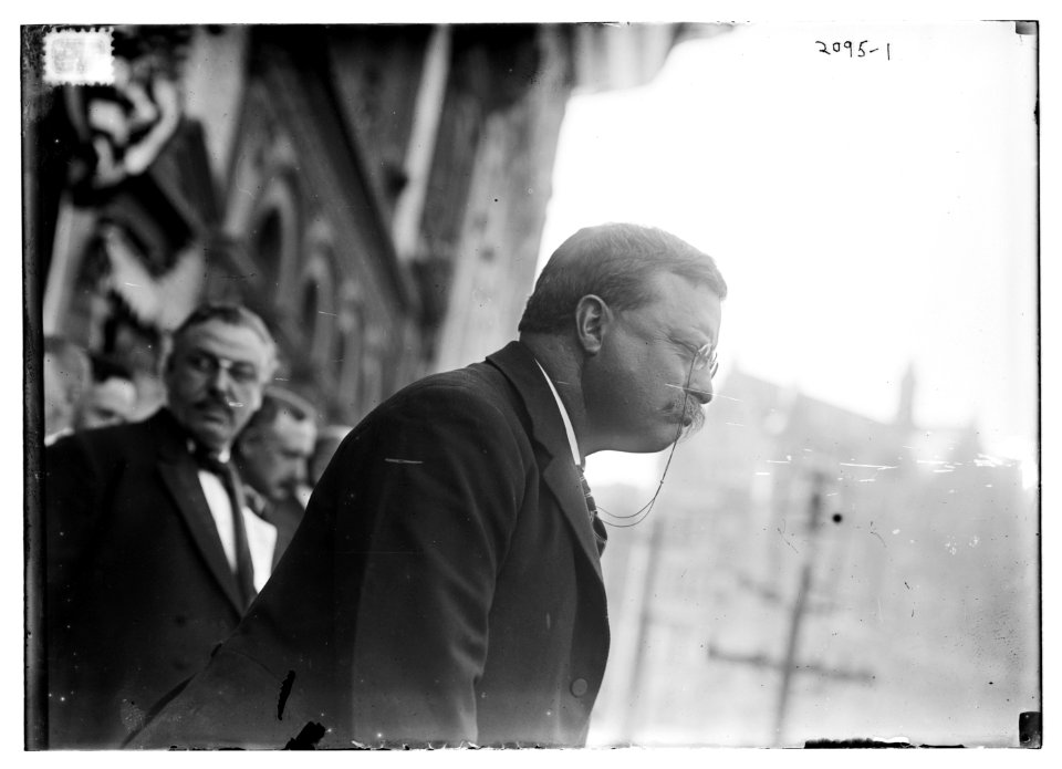 T.R. (Theodore Roosevelt) LCCN2014688673