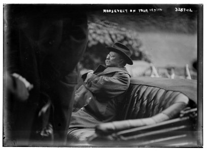 T.R. (Theodore Roosevelt) on tour LCCN2014697750