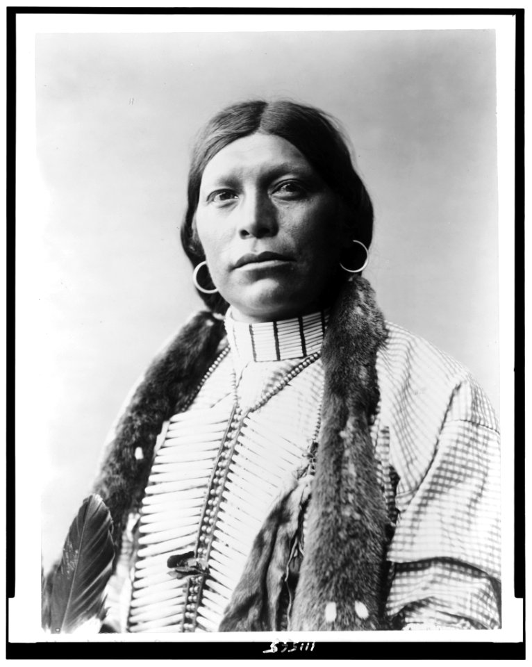 Ta Wits Nan - Ute, half-length portrait, facing slightly left, wearing beaver stole around his neck, checkered shirt, and war vest LCCN94509874