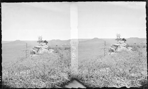 Table lands on Colorado Divide. El Paso County, Colorado - NARA - 517558