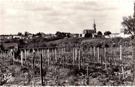 Tabanac - vue générale 3