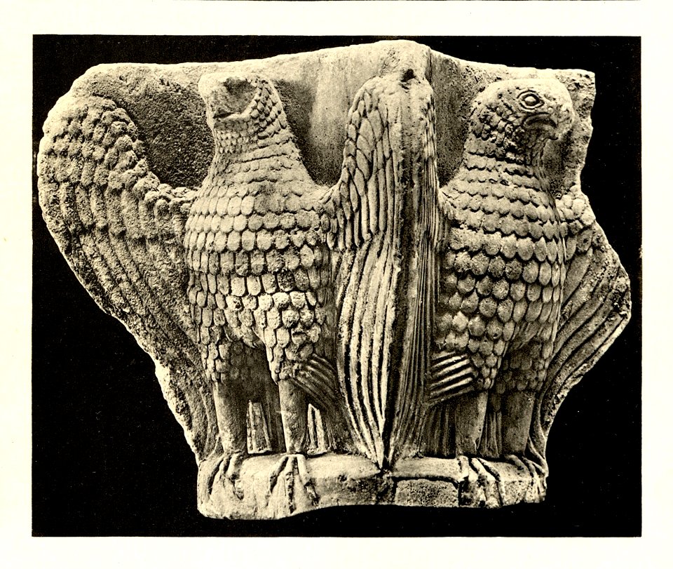 Tafel 073d Zara - Museo San Donato Kapitäl XII Jhdt. - Heliografie Kowalczyk 1909