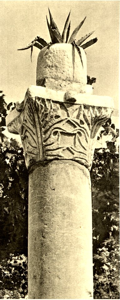 Tafel 053b Salona - spätrömisches Kapitäl - Heliografie Kowalczyk 1909