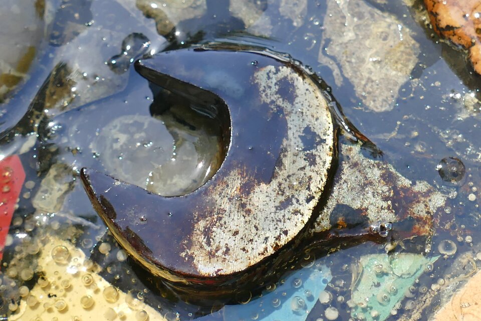 Lacquered gel water