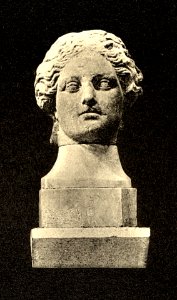 Tafel 067d Zara - Museo S. Donato römischer Grabstein - Heliografie Kowalczyk 1909
