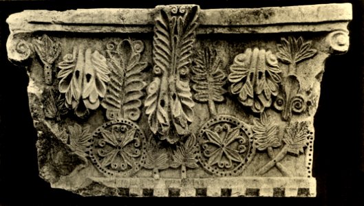 Tafel 54a Salona - Fundstück Kapitäl - Heliografie Kowalczyk 1909
