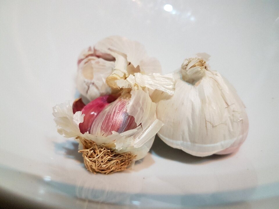 Still life garlic desktop