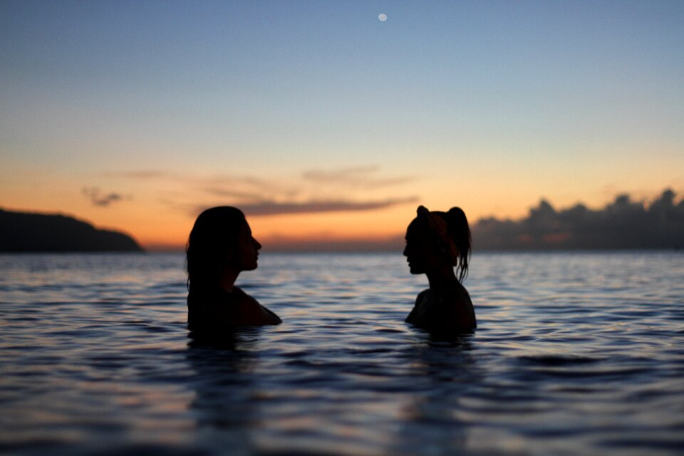 Swimming friends sea