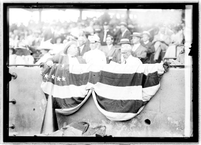 Taft at ball game LCCN2016820748