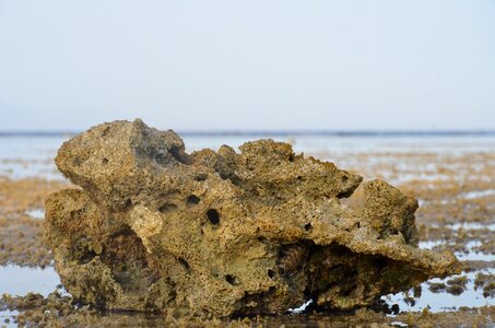 Sea beautiful view nature
